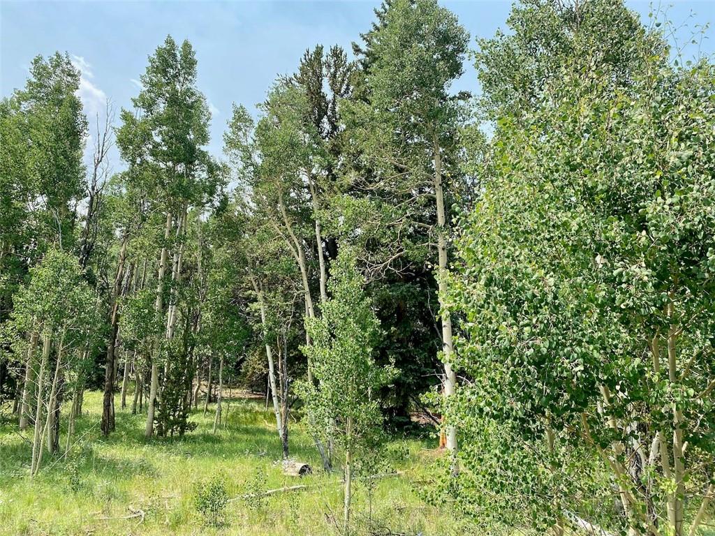 475 Adventure Road Alma, CO 80420 - Photo 14 of 15 Gallery Image 14