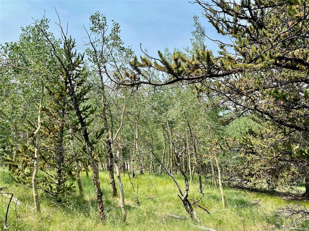 475 Adventure Road Alma, CO 80420 - Photo 3 of 15 Gallery Image 3
