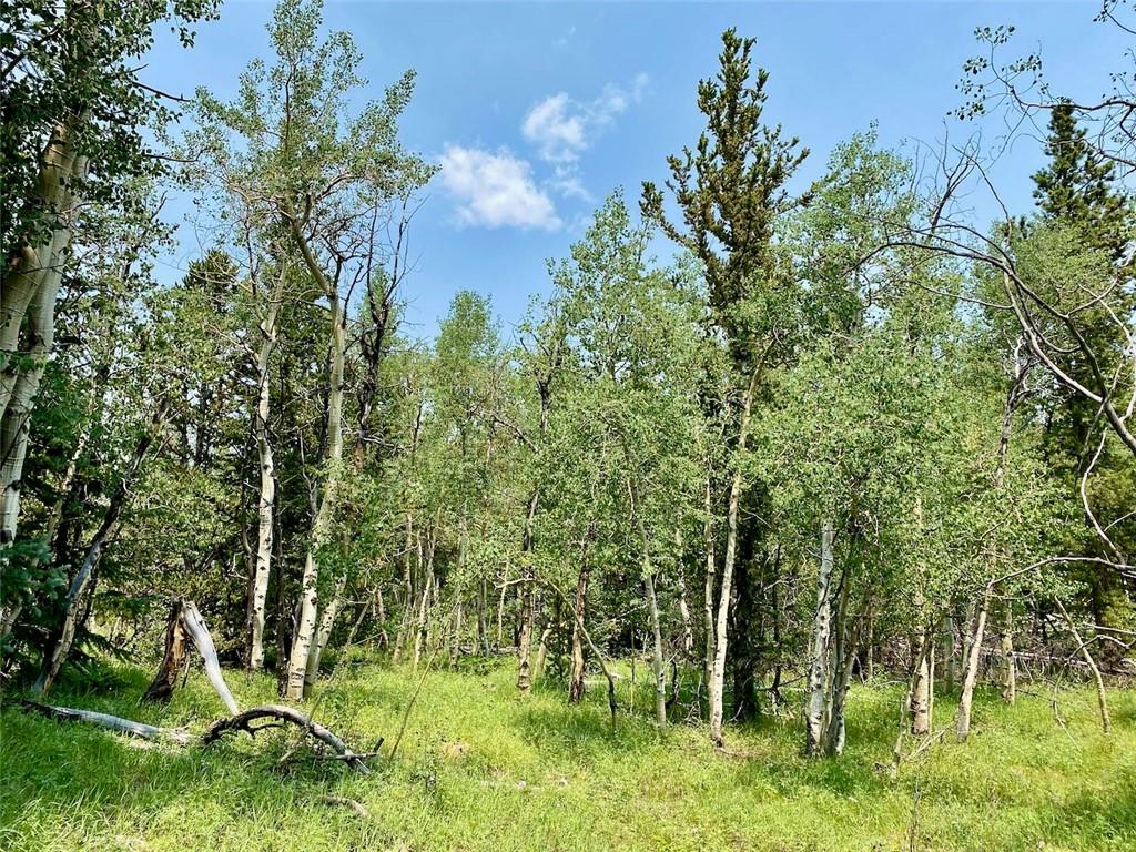 475 Adventure Road Alma, CO 80420 - Photo 4 of 15 Gallery Image 4