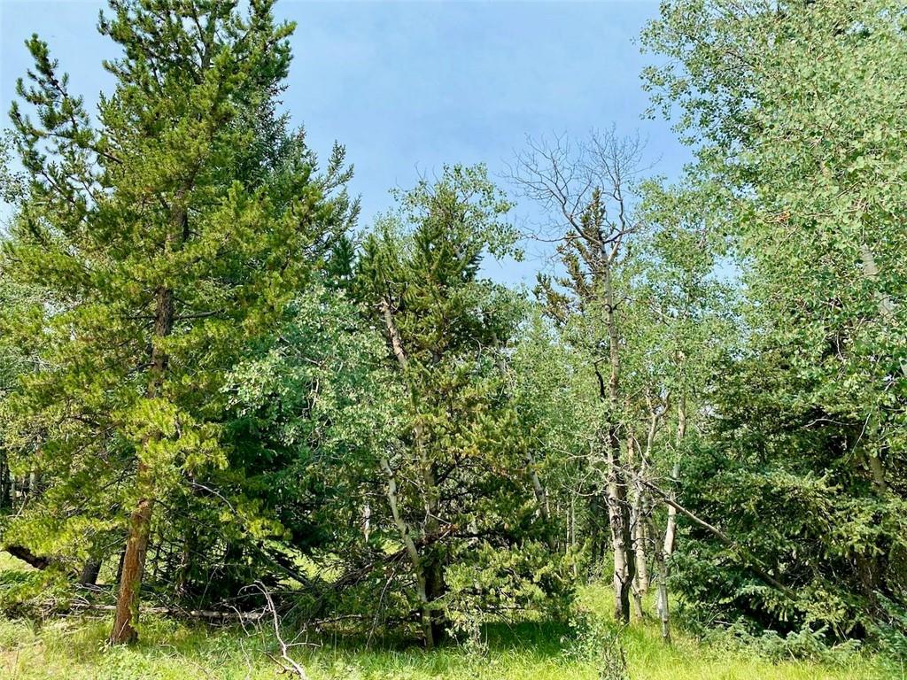 475 Adventure Road Alma, CO 80420 - Photo 5 of 15 Gallery Image 5