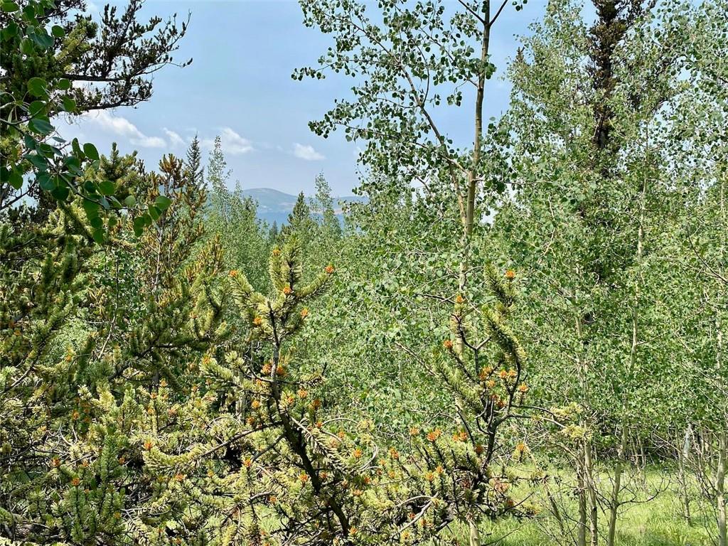 475 Adventure Road Alma, CO 80420 - Photo 7 of 15 Gallery Image 7