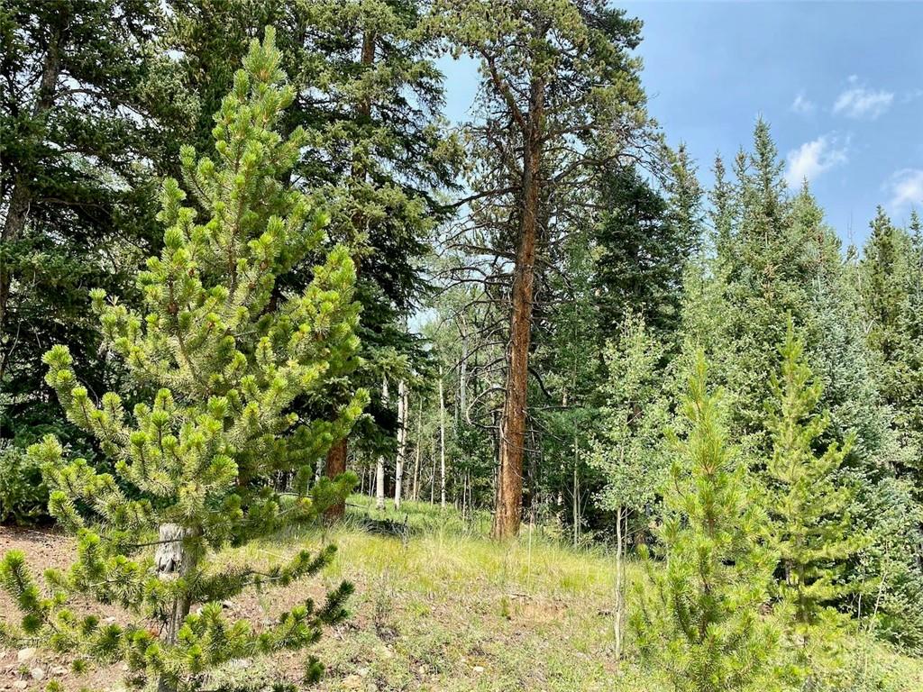 475 Adventure Road Alma, CO 80420 - Photo 8 of 15 Gallery Image 8