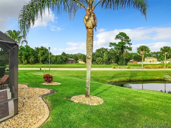 a view of a park with big trees