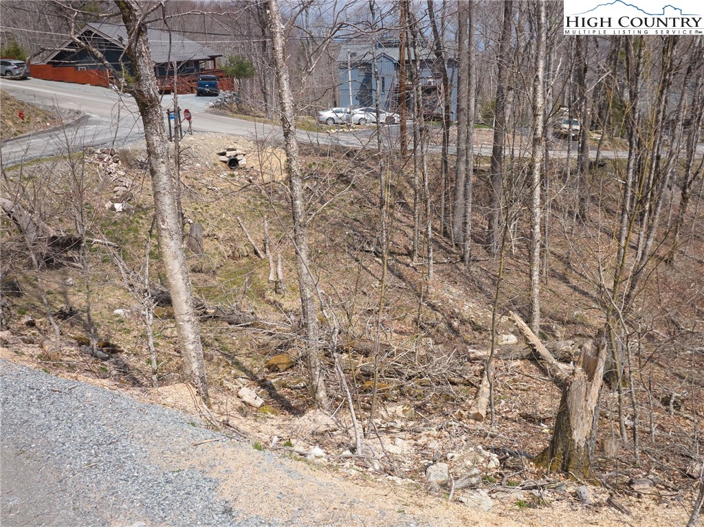 101 Foxgrape Hollow Road Beech Mountain, NC 28604 - Photo 12 of 24