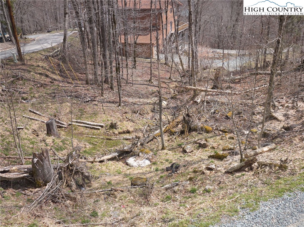 101 Foxgrape Hollow Road Beech Mountain, NC 28604 - Photo 13 of 24