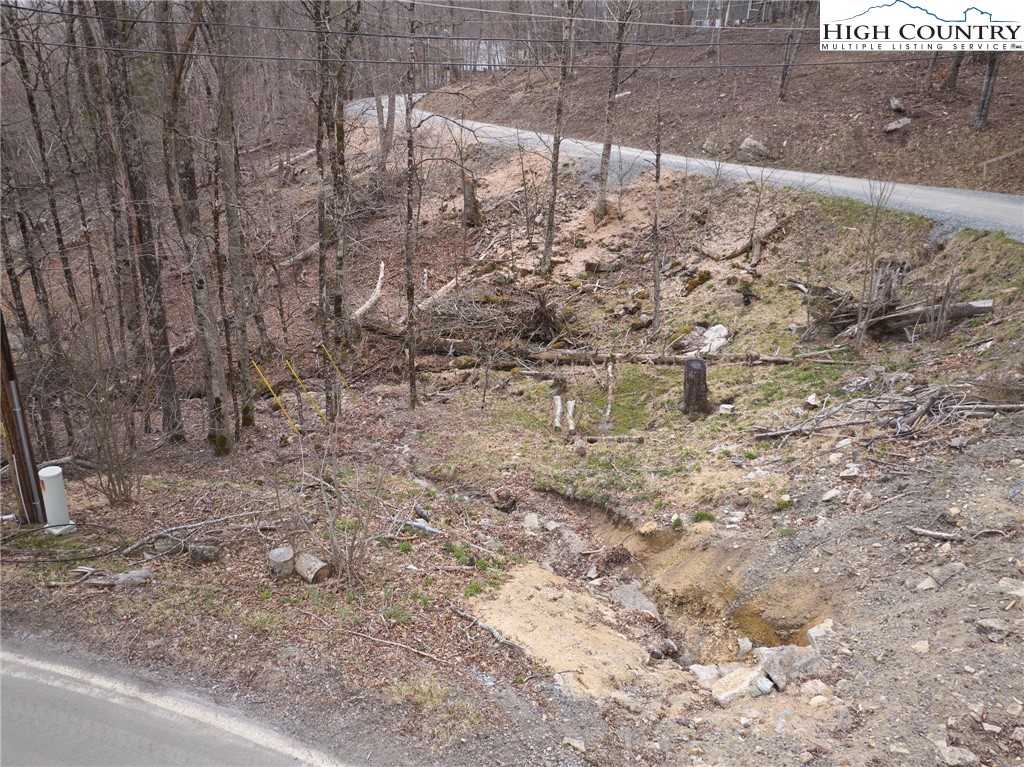 101 Foxgrape Hollow Road Beech Mountain, NC 28604 - Photo 15 of 24