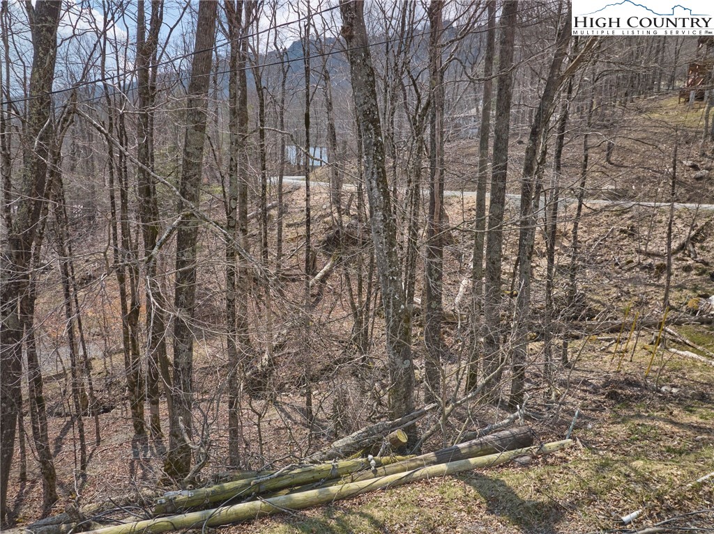 101 Foxgrape Hollow Road Beech Mountain, NC 28604 - Photo 16 of 24