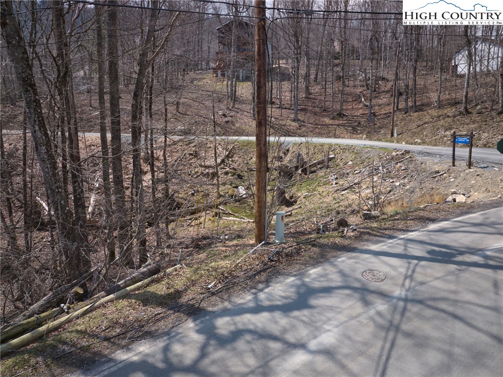 101 Foxgrape Hollow Road Beech Mountain, NC 28604 - Photo 17 of 24