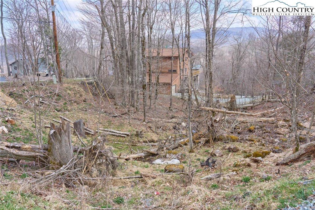 101 Foxgrape Hollow Road Beech Mountain, NC 28604 - Photo 2 of 24
