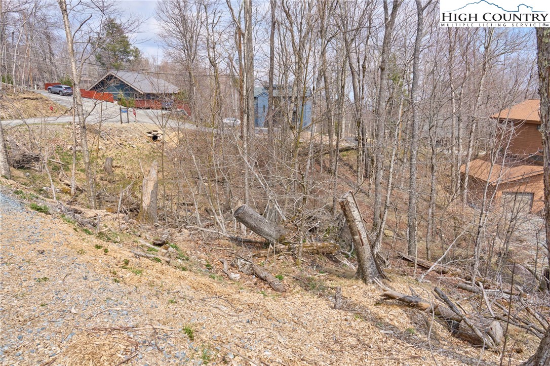 101 Foxgrape Hollow Road Beech Mountain, NC 28604 - Photo 3 of 24