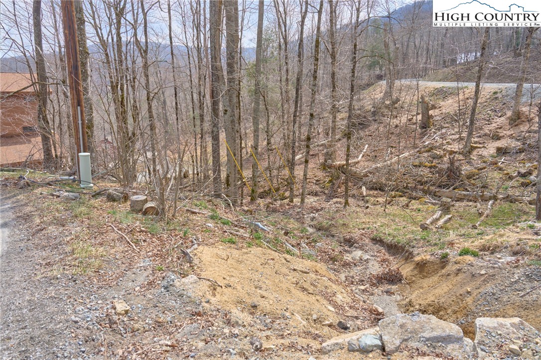 101 Foxgrape Hollow Road Beech Mountain, NC 28604 - Photo 4 of 24