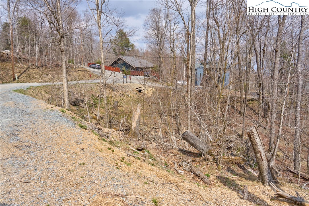 101 Foxgrape Hollow Road Beech Mountain, NC 28604 - Photo 5 of 24