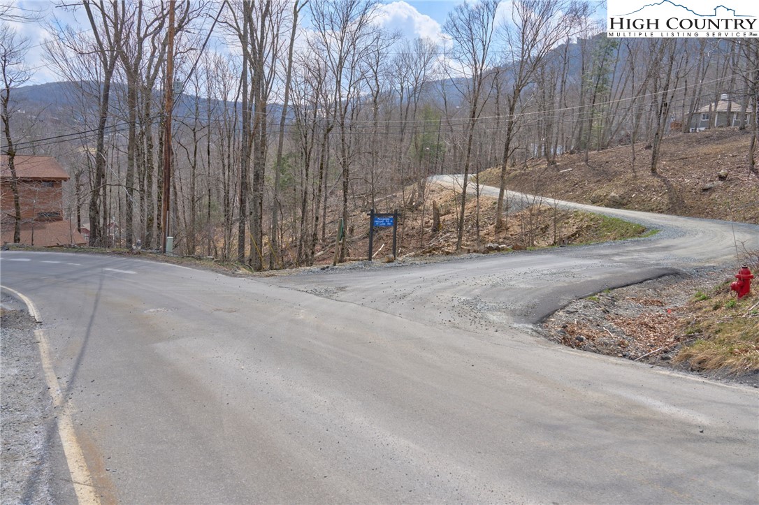 101 Foxgrape Hollow Road Beech Mountain, NC 28604 - Photo 6 of 24