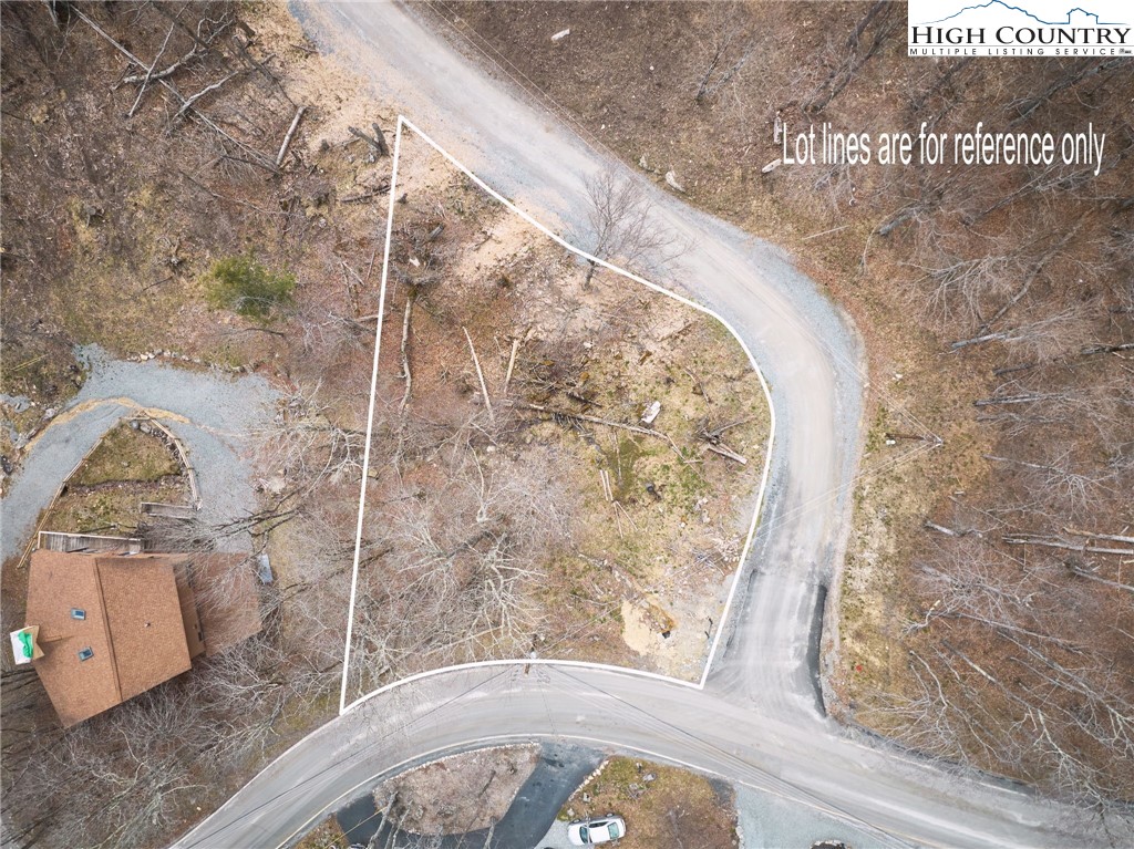 101 Foxgrape Hollow Road Beech Mountain, NC 28604 - Photo 7 of 24