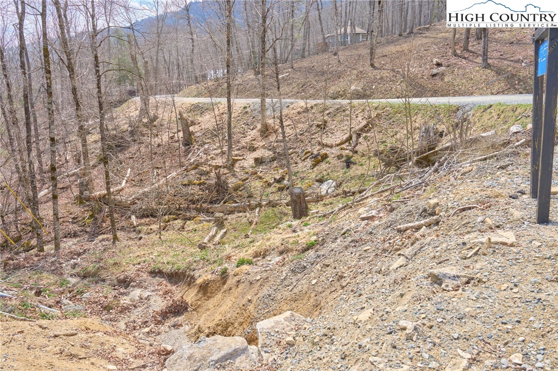 101 Foxgrape Hollow Road Beech Mountain, NC 28604 - Photo 8 of 24