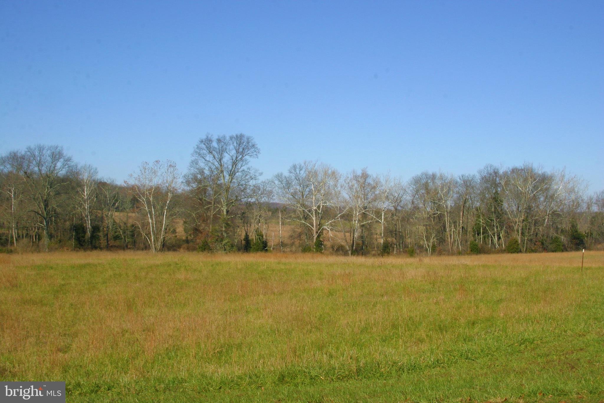 Munson Leesburg, VA 20175 - Photo 2 of 5