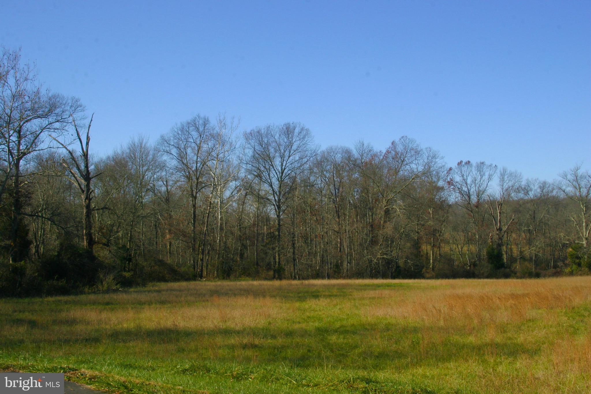 Munson Leesburg, VA 20175 - Photo 5 of 5