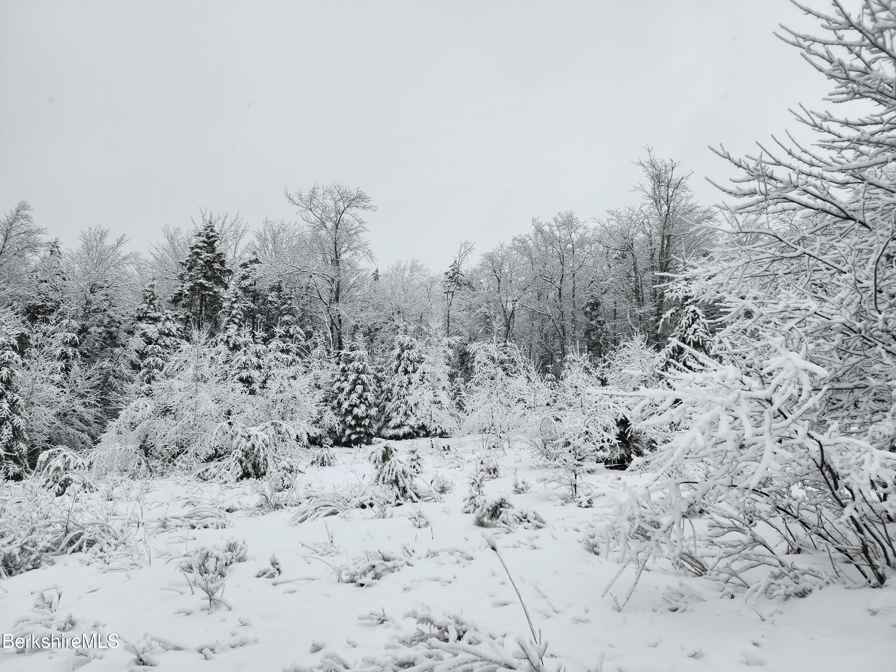 0 Andes Road Peru, MA 01235 - Photo 3 of 28 a view of a covered with snow