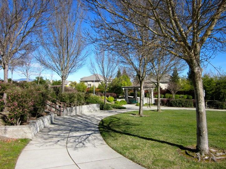 52 Foster Drive San Ramon, CA 94583 - Photo 46 of 50 a view of a park with bench and trees