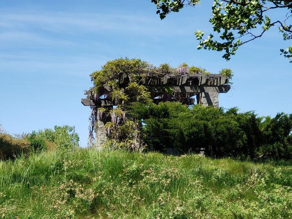 52 Foster Drive San Ramon, CA 94583 - Photo 47 of 50 a view of a garden