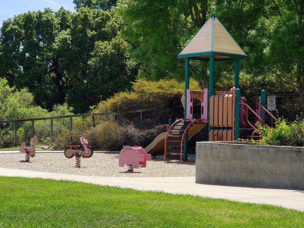 52 Foster Drive San Ramon, CA 94583 - Photo 48 of 50 a garden view with a seating space