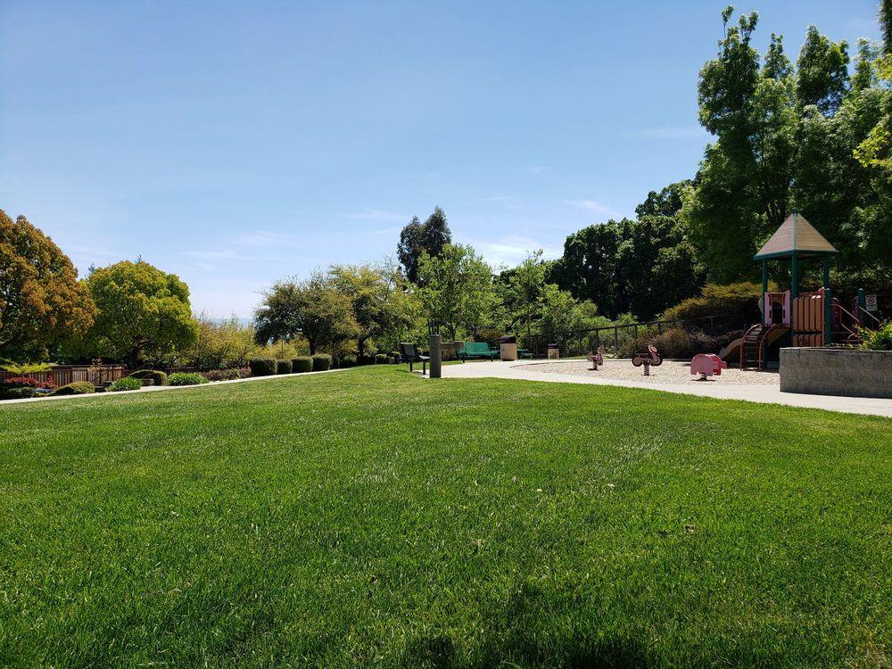 52 Foster Drive San Ramon, CA 94583 - Photo 50 of 50 a view of a garden and trees