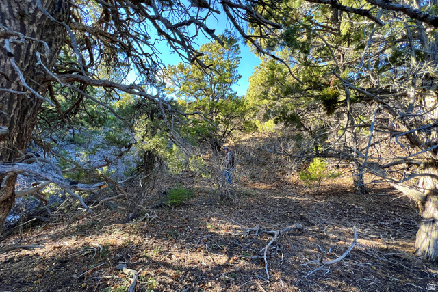38 Broken Branch Road, Unit 38 Kanab, UT 84741 - Photo 14 of 53 Natural landscape with varied terrain and mature trees