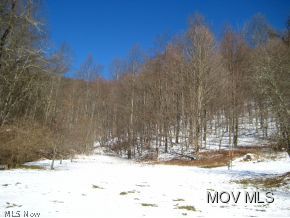 200 Mcintyre Road Center Point, WV 26339 - Photo 10 of 12