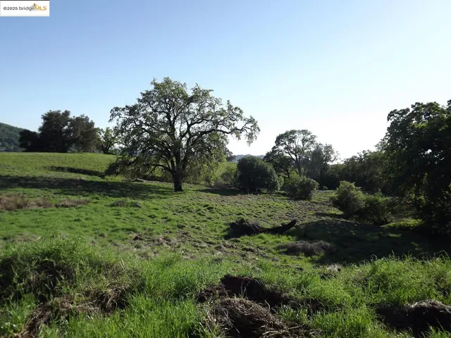a view of a grassy field with trees