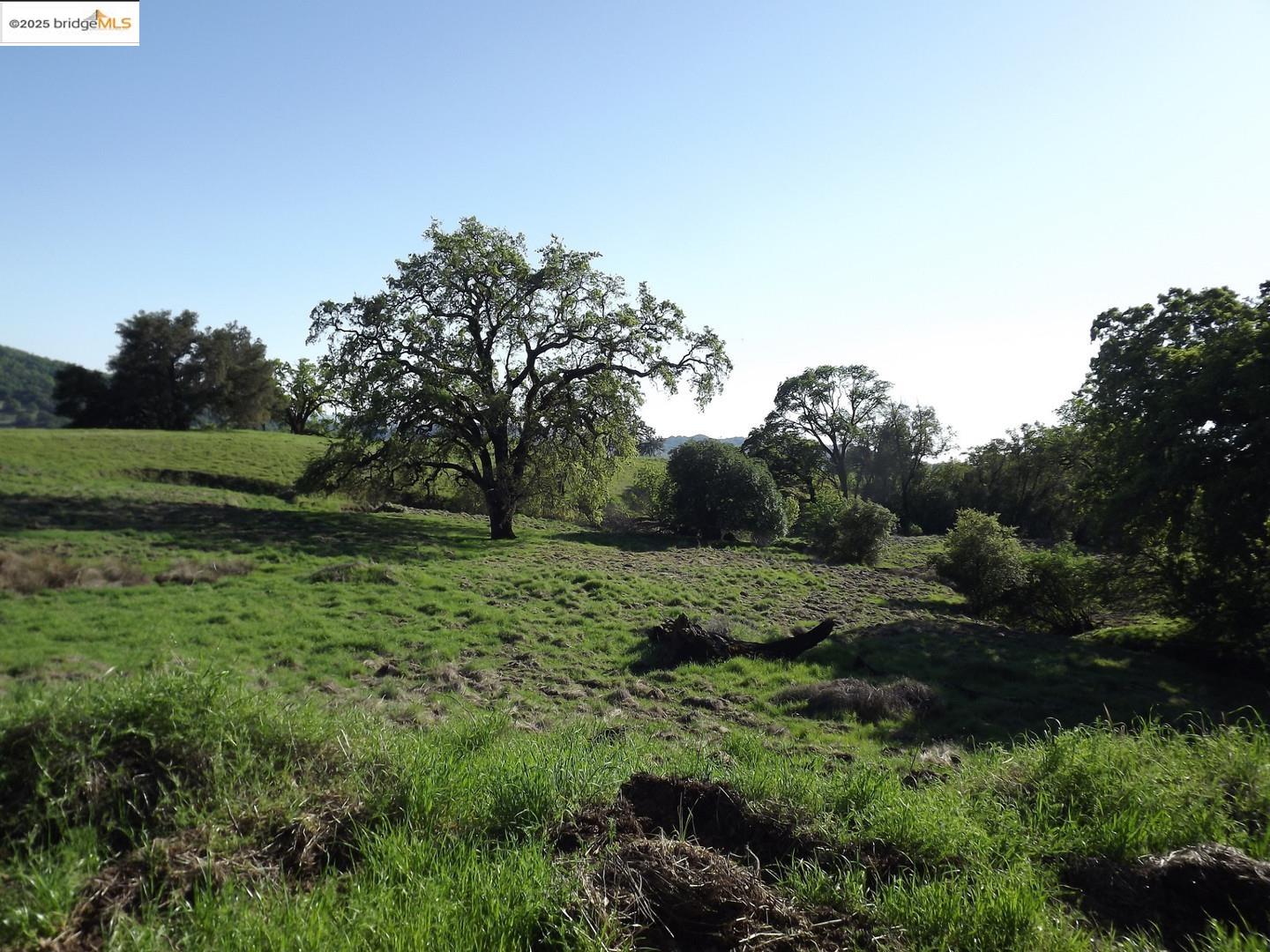 39305 Pine Mountain Road Cloverdale, CA 95425 - Photo 3 of 16 a view of a grassy field with trees