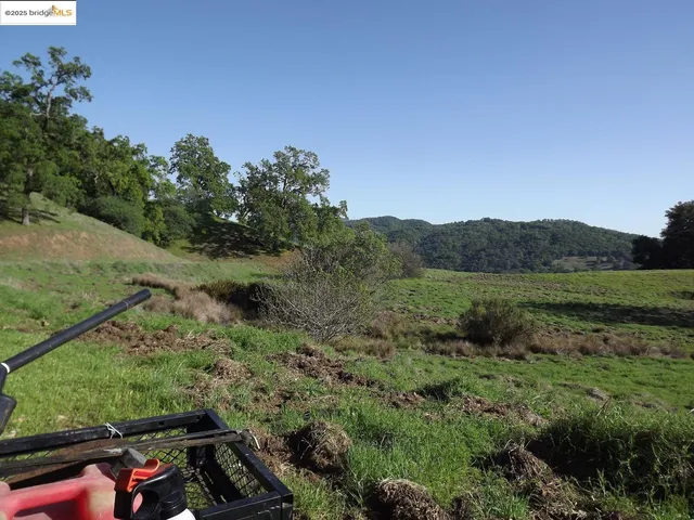 a view of a yard with wooden fence