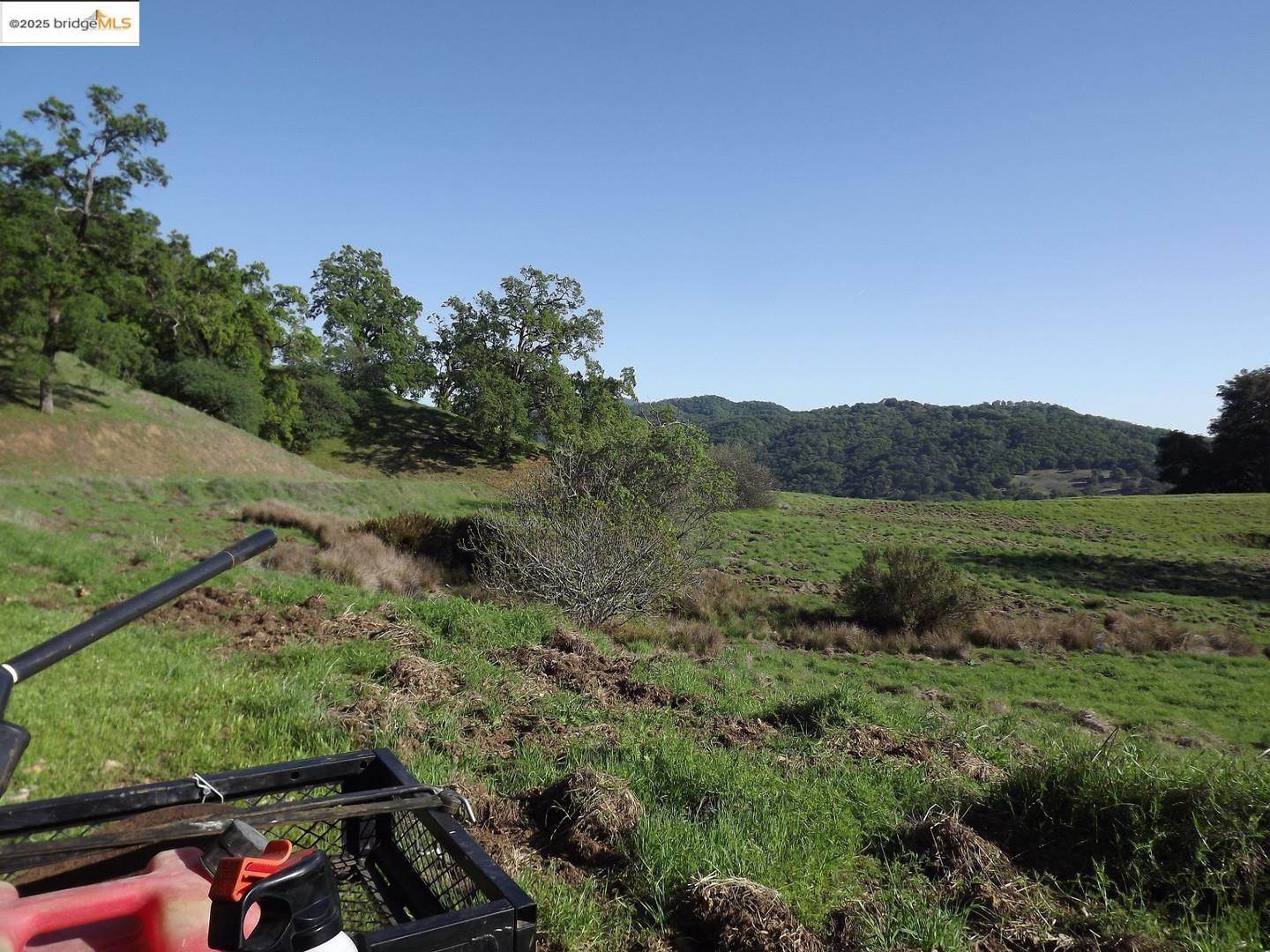 39305 Pine Mountain Road Cloverdale, CA 95425 - Photo 4 of 16 a view of a yard with wooden fence
