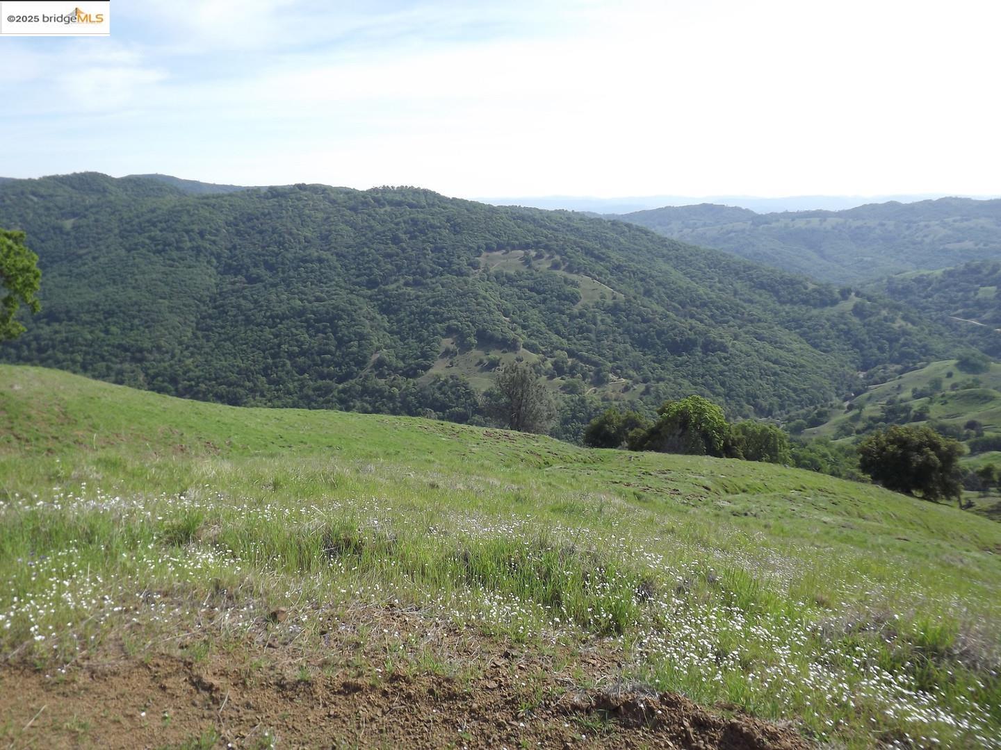 39305 Pine Mountain Road Cloverdale, CA 95425 - Photo 5 of 16 a view of a lush green hillside and mountains