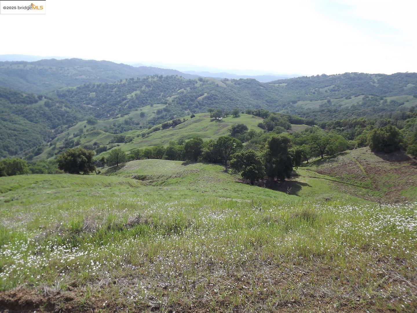 39305 Pine Mountain Road Cloverdale, CA 95425 - Photo 6 of 16 a view of a lush green hillside and houses