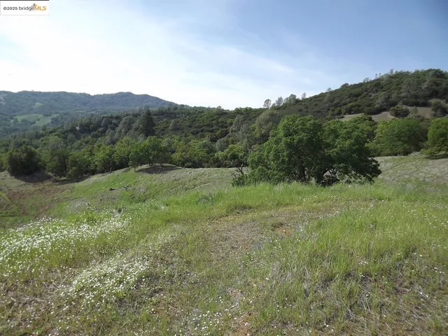 a view of a mountain in the distance in a field