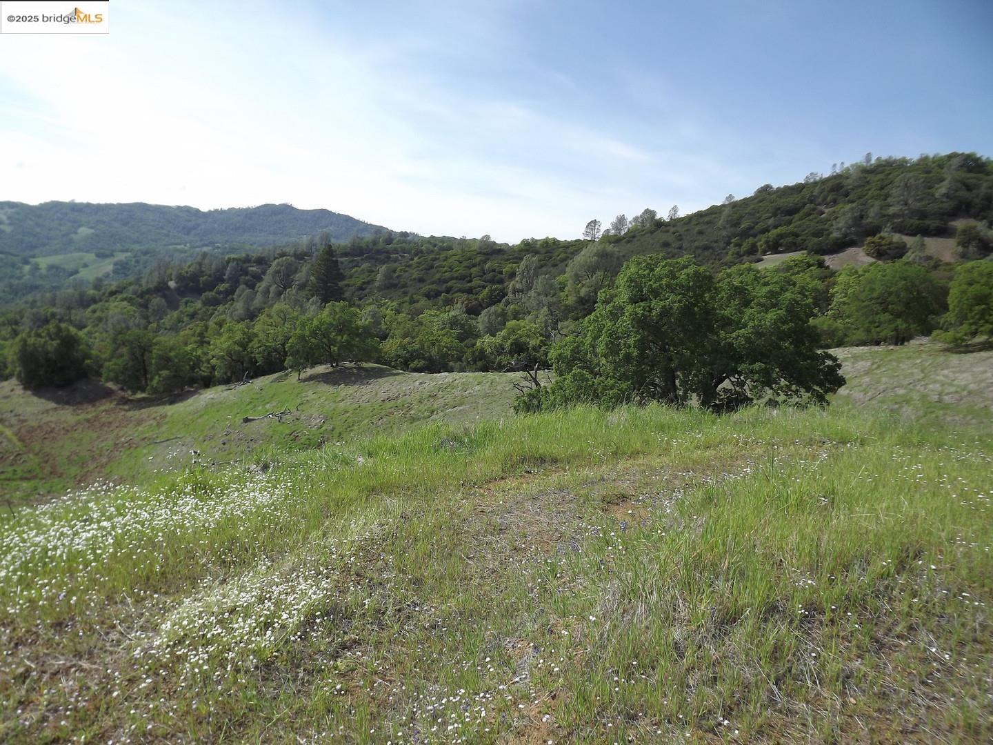 39305 Pine Mountain Road Cloverdale, CA 95425 - Photo 7 of 16 a view of a mountain in the distance in a field