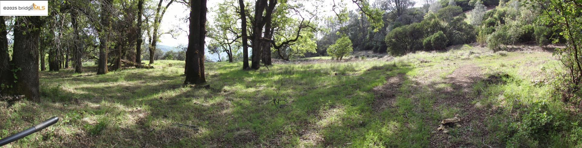 39305 Pine Mountain Road Cloverdale, CA 95425 - Photo 9 of 16 a view of forest