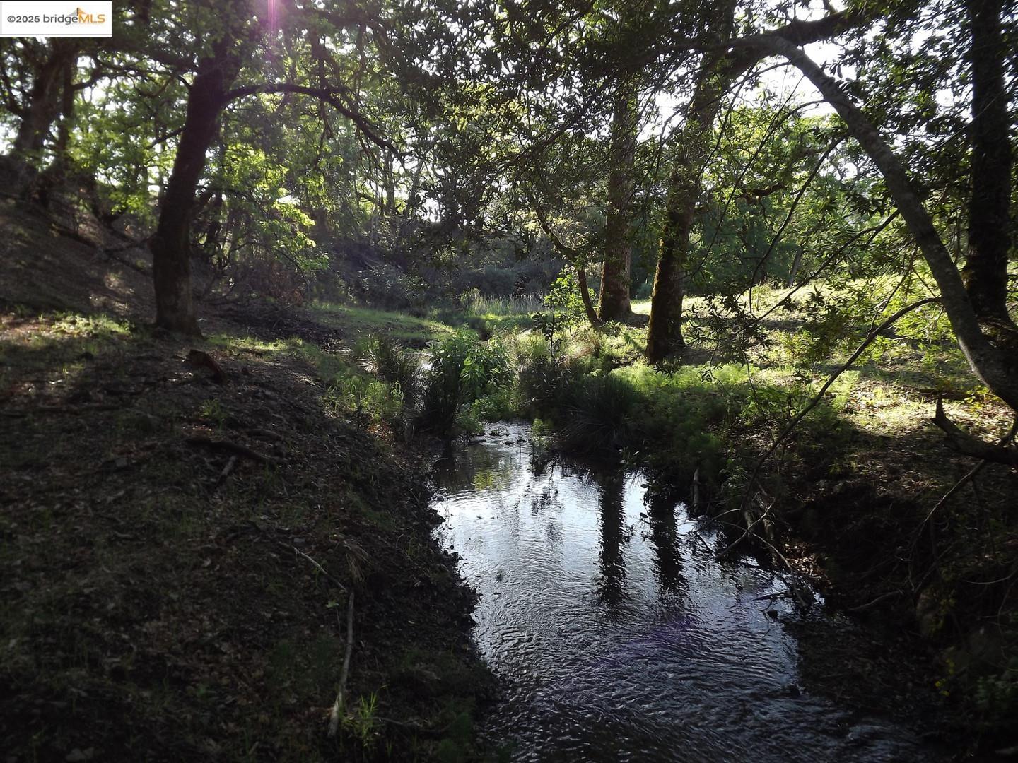 39305 Pine Mountain Road Cloverdale, CA 95425 - Photo 10 of 16 a view of a lake in a forest