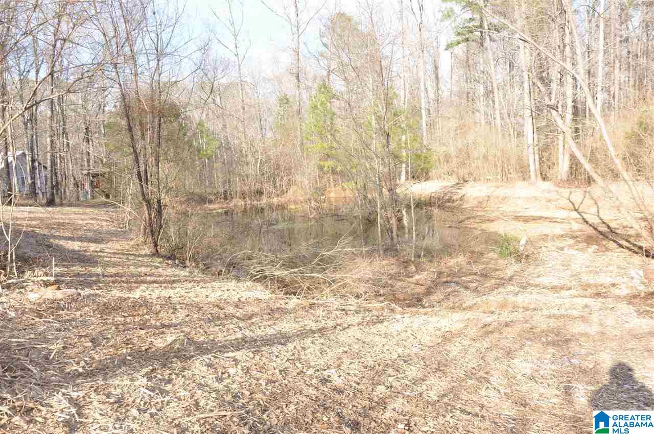 4104 Dean Road Pinson, AL 35126 - Photo 8 of 9