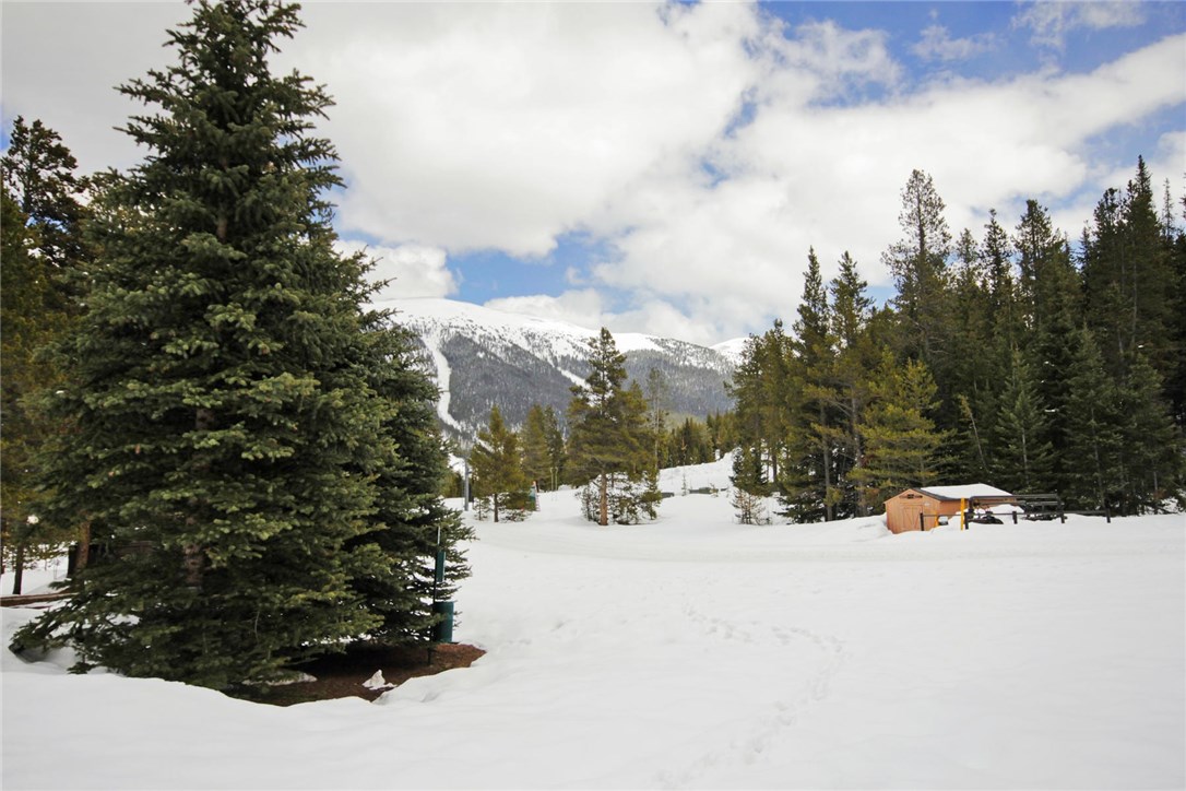108 Guller Road, Unit B5 Frisco, CO 80443 - Photo 20 of 35 Ski Path to the Pitchfork Lift.