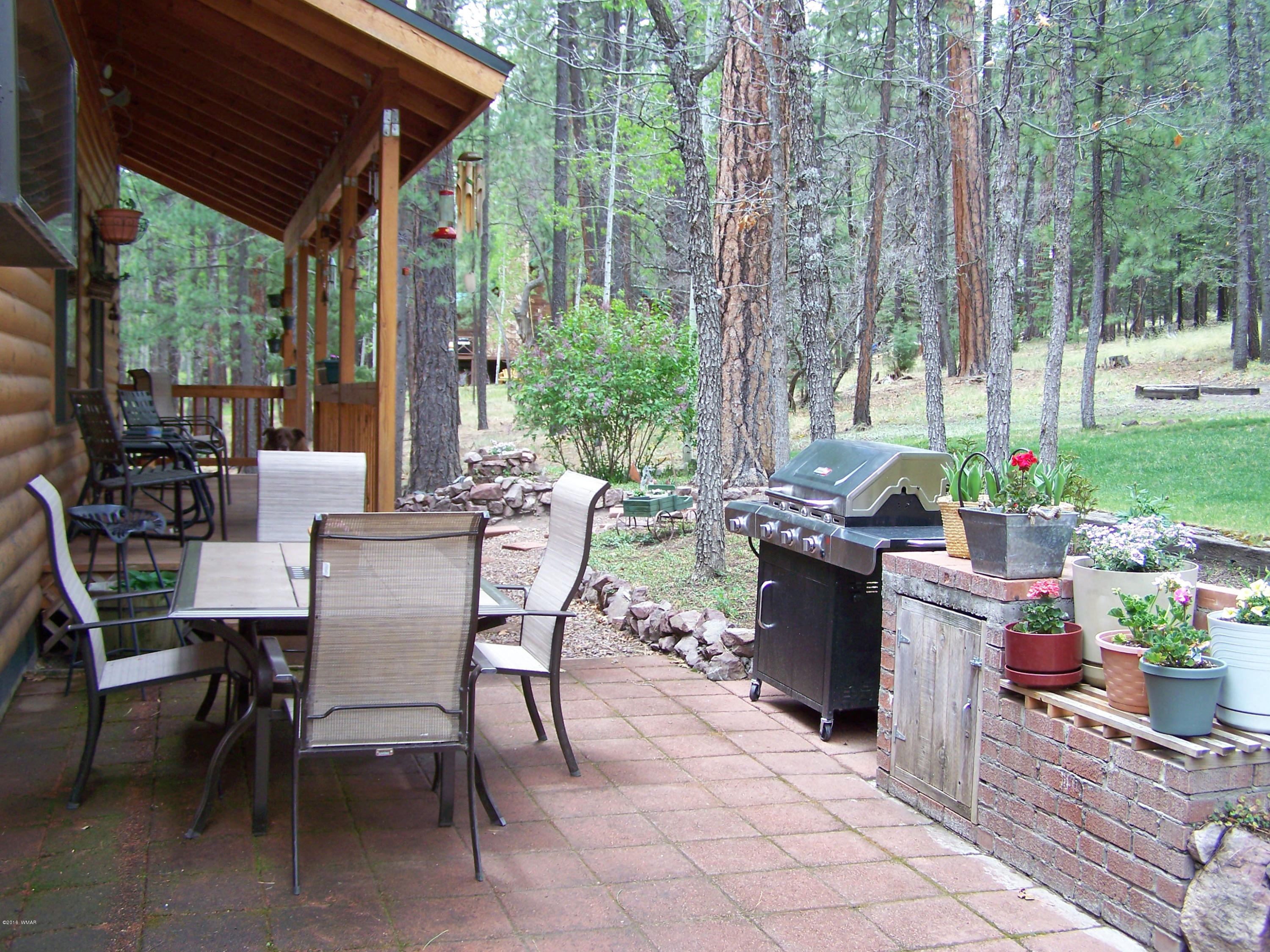 11 County Road Alpine, AZ 85920 - Photo 16 of 45