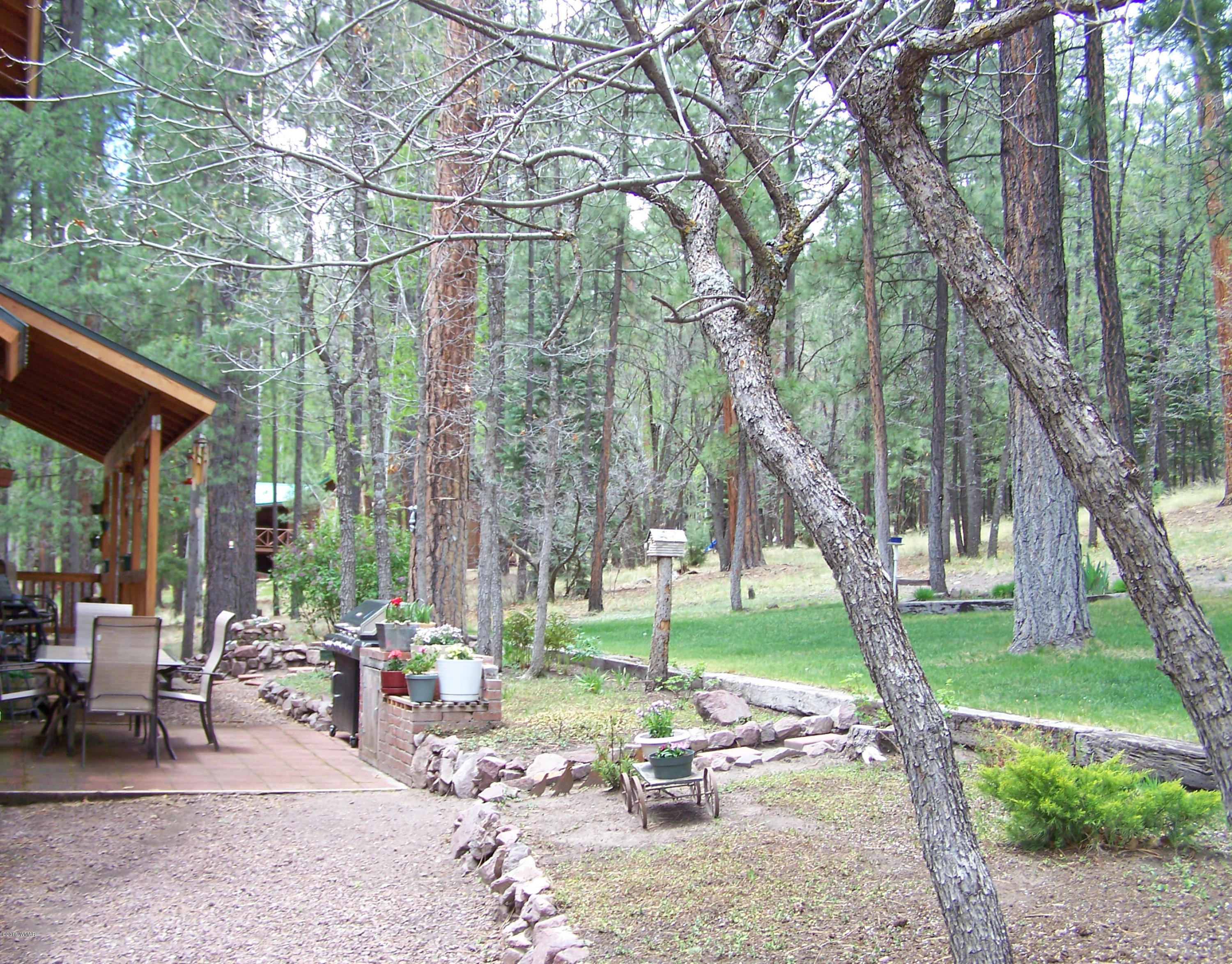 11 County Road Alpine, AZ 85920 - Photo 17 of 45