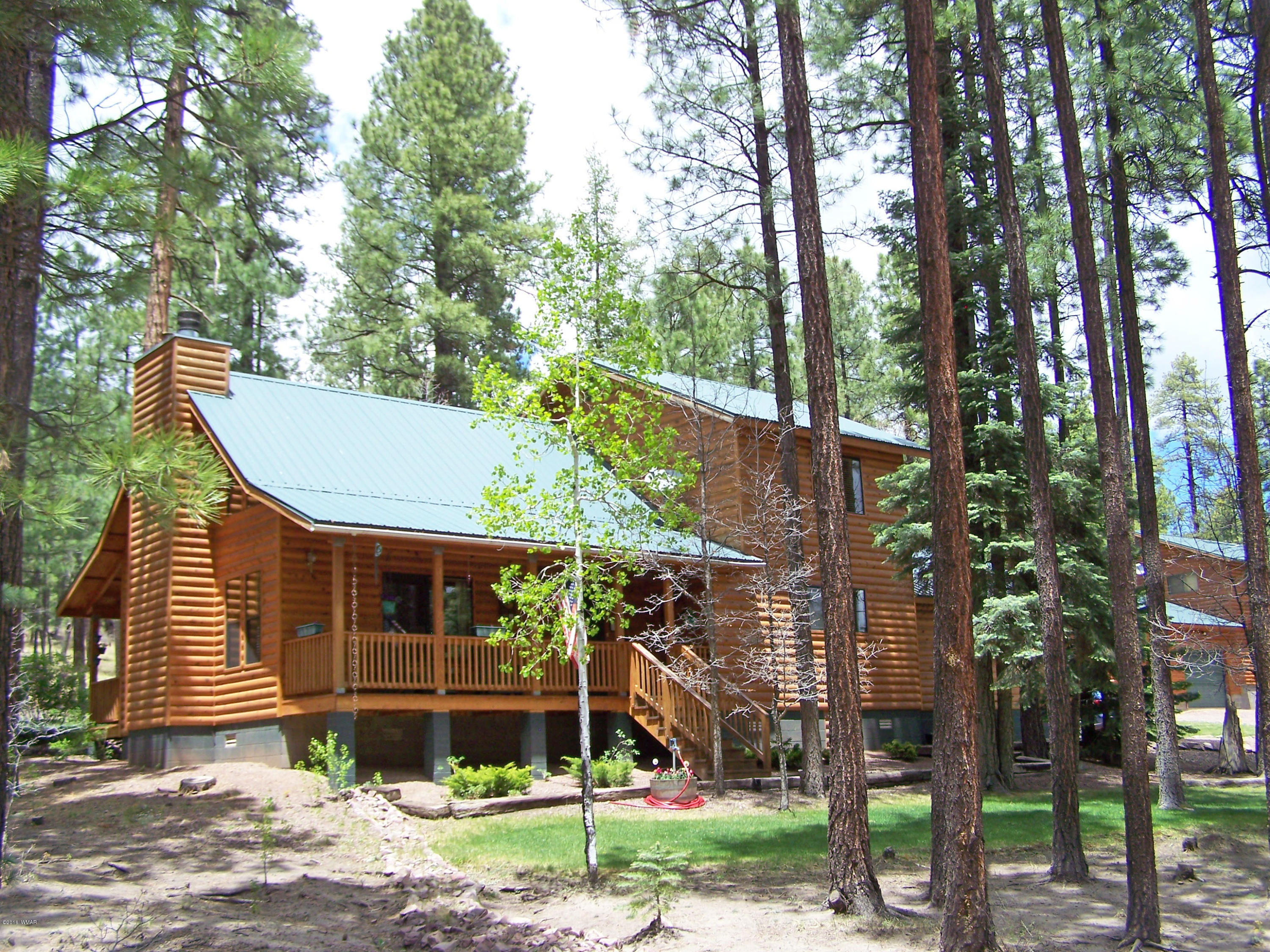 11 County Road Alpine, AZ 85920 - Photo 3 of 45
