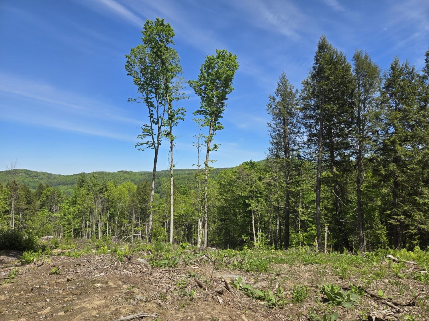 0 Vt Route, Unit LOT 1 Bethel, VT 05032 - Photo 6 of 10