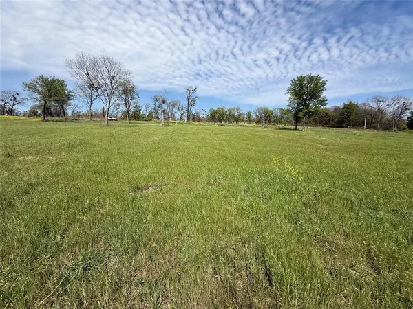 a view of a field with an trees