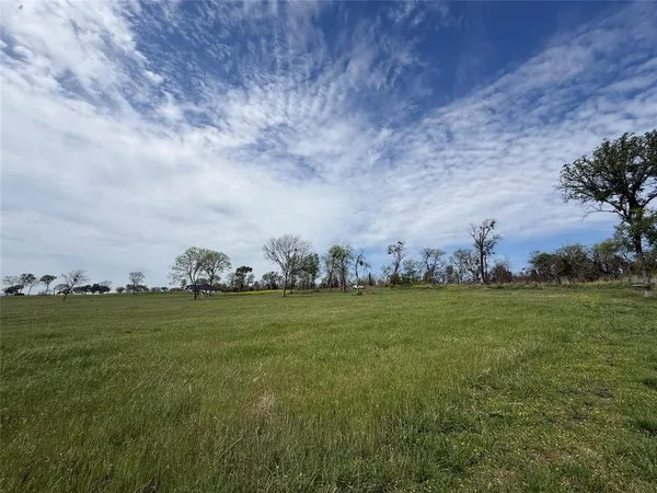 a view of a green field with lots of green space