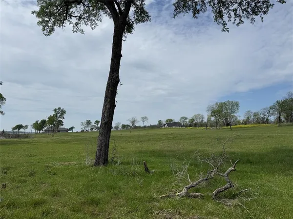 a big yard with lots of green space and trees
