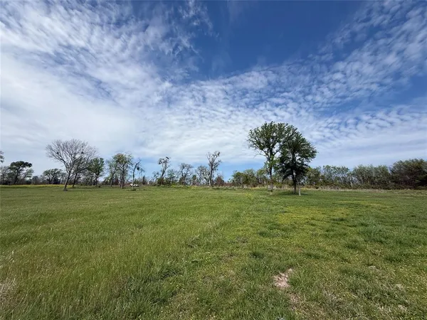 a view of a green field with trees in the background