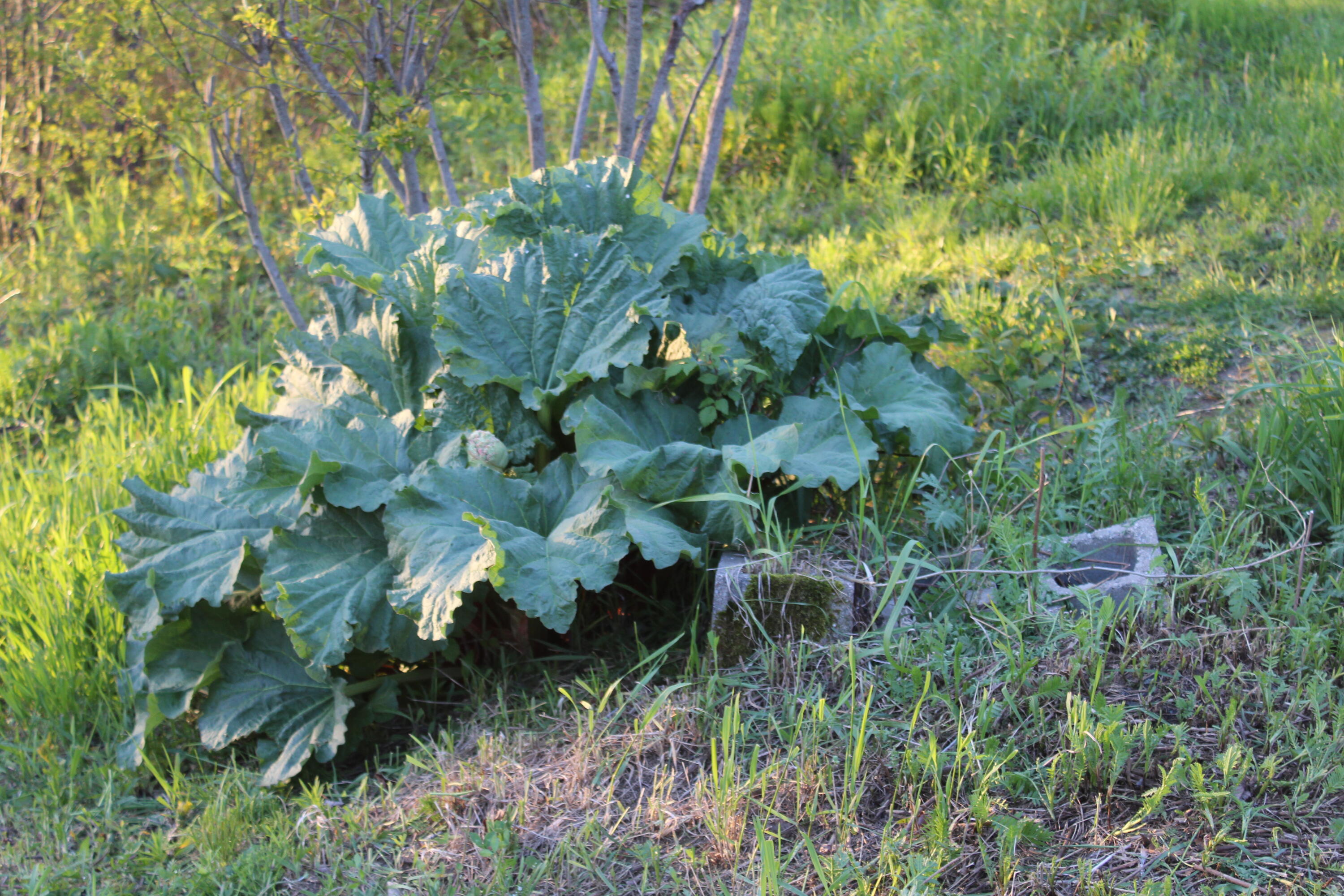 1 East Side Road Addison, ME 04606 - Photo 23 of 38 IMG_0288