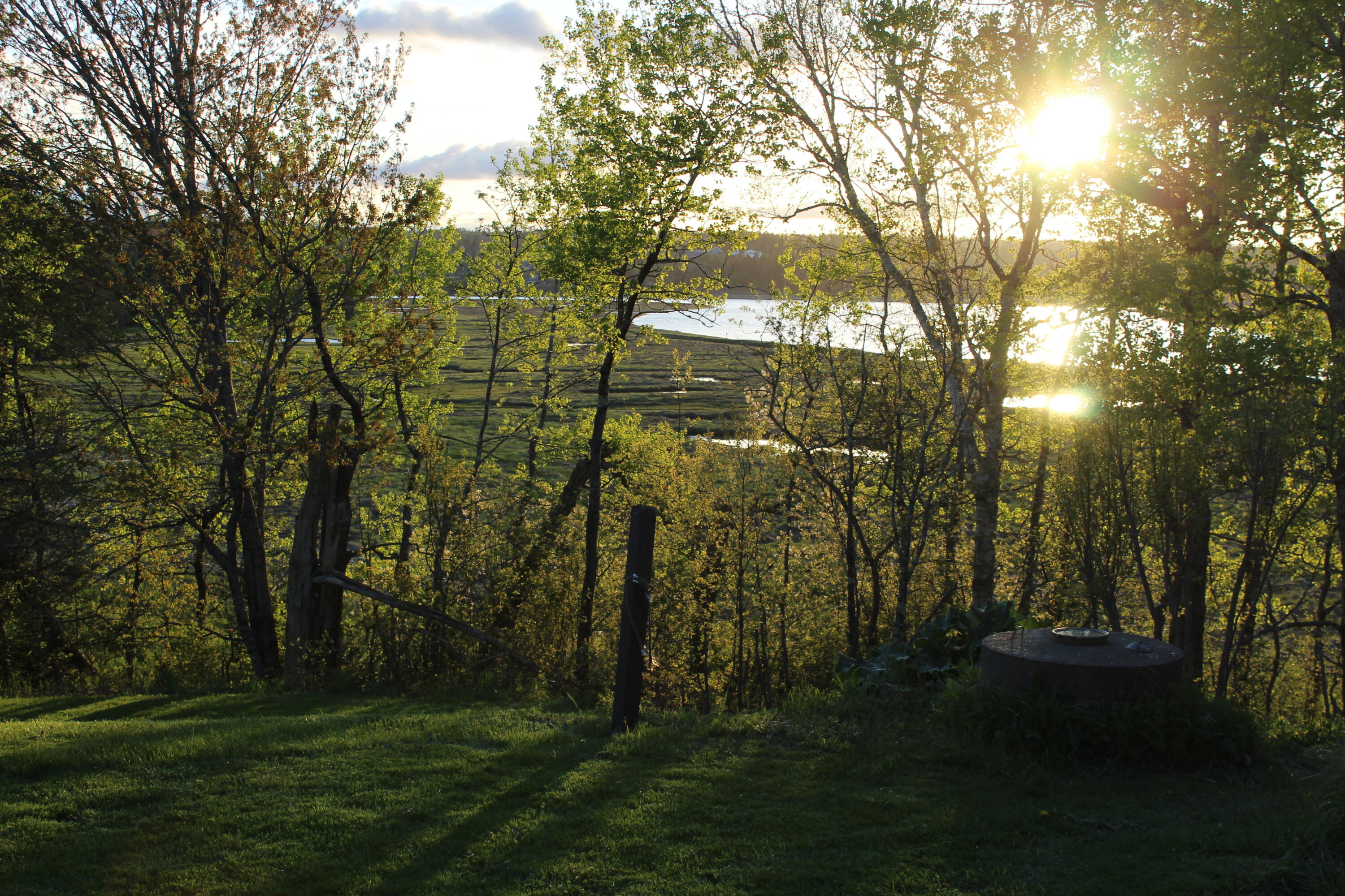 1 East Side Road Addison, ME 04606 - Photo 24 of 38 IMG_0285